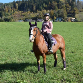 Kerschdorferhof - Erlebnisbauernhof Feldkirchen In Kärnten